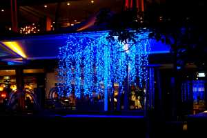 DARLING-HARBOR28OCT19 (31)